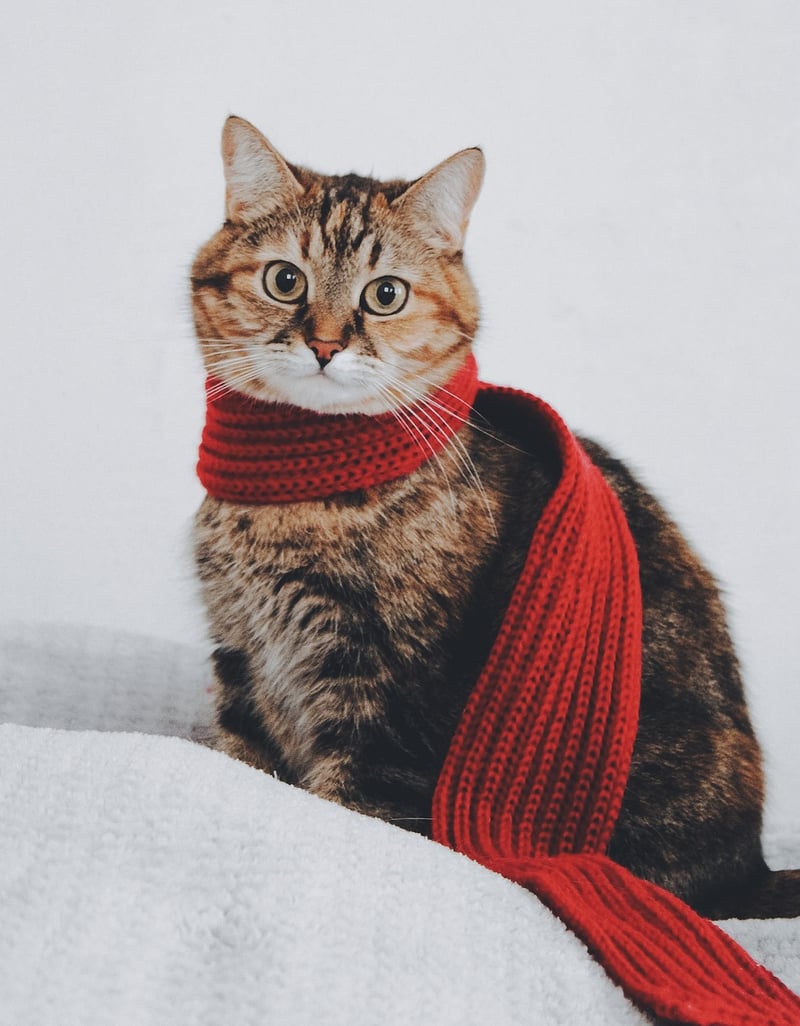 Scarf Upcycling